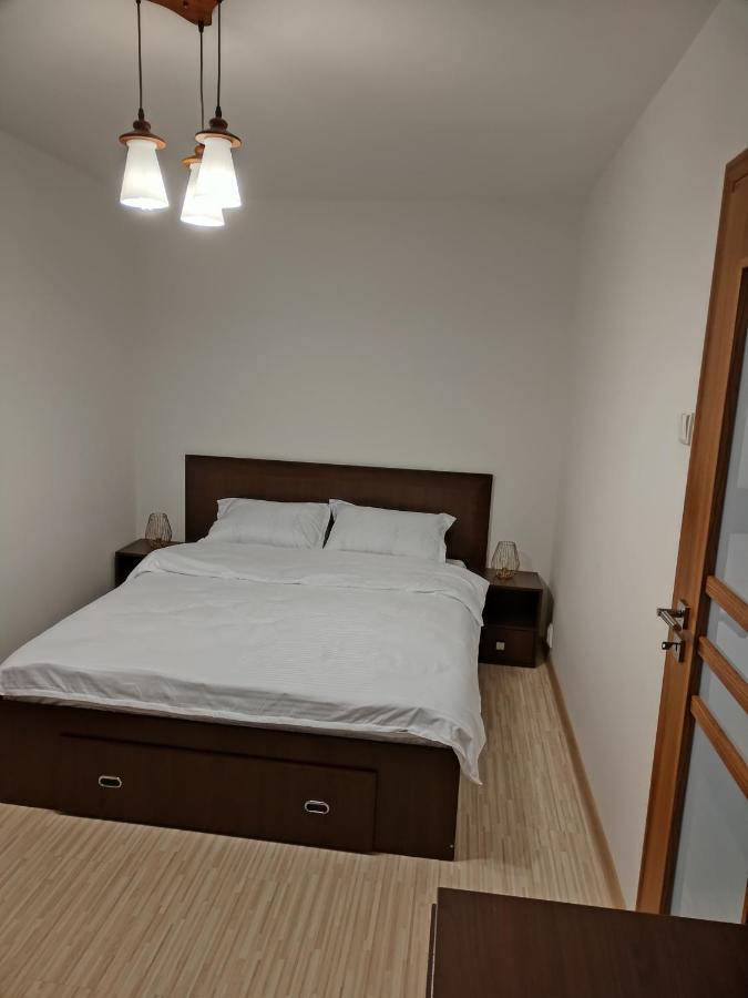 Chic Apartment ピテシュティ エクステリア 写真